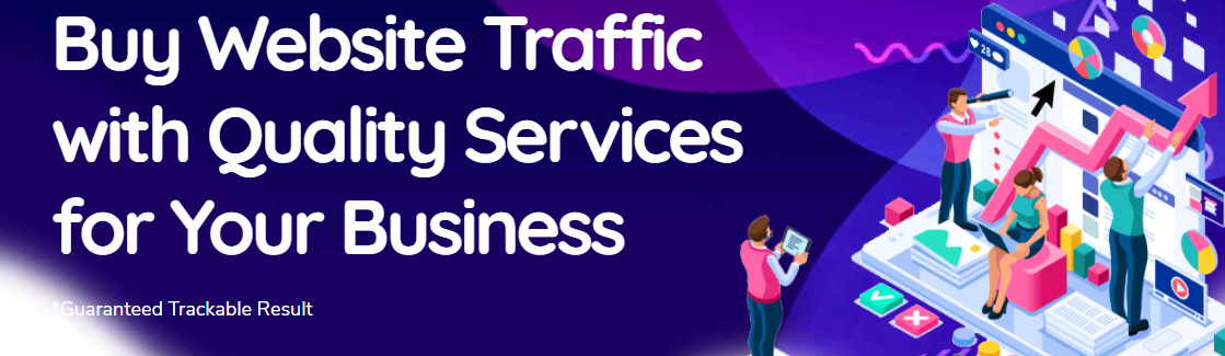 Best organic website visitor Traffic provider